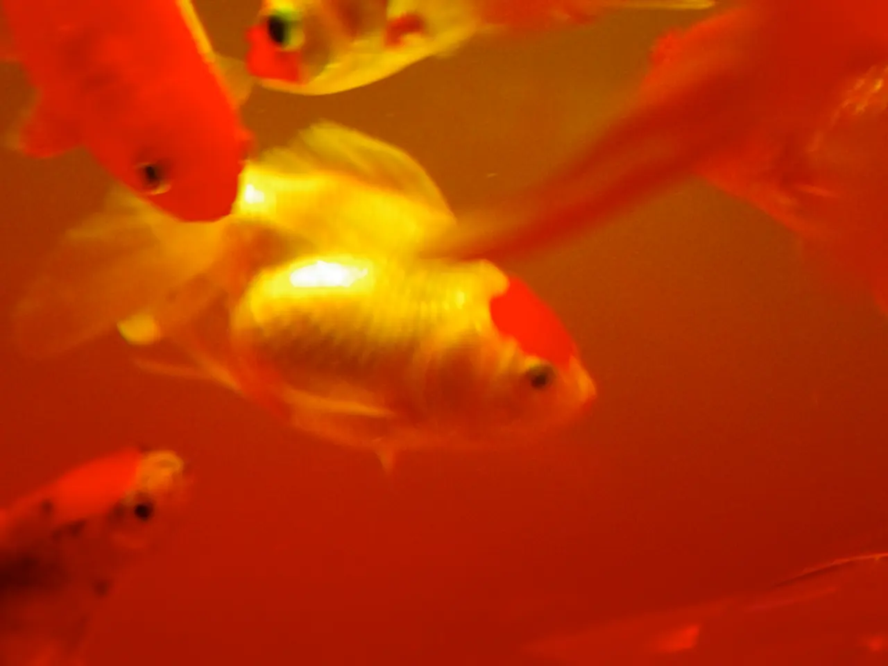 Esplorare le sfumature dei peoni: svelare le diverse sfumature dei peoni e i loro significati...