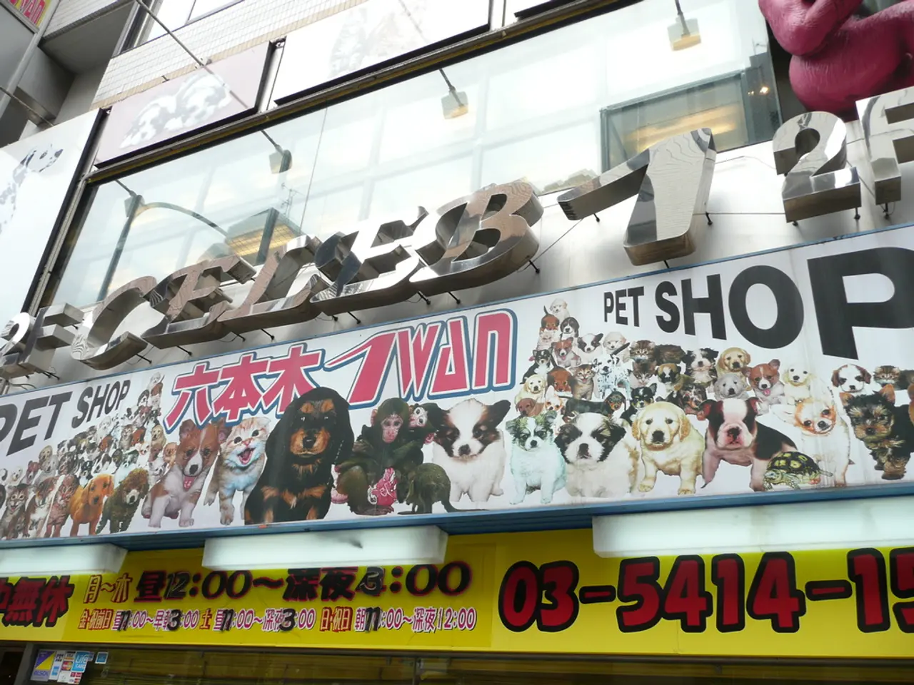 Accogliente Appartamento Danese in tenui colorazioni terrate: una dimora gioiosa in...