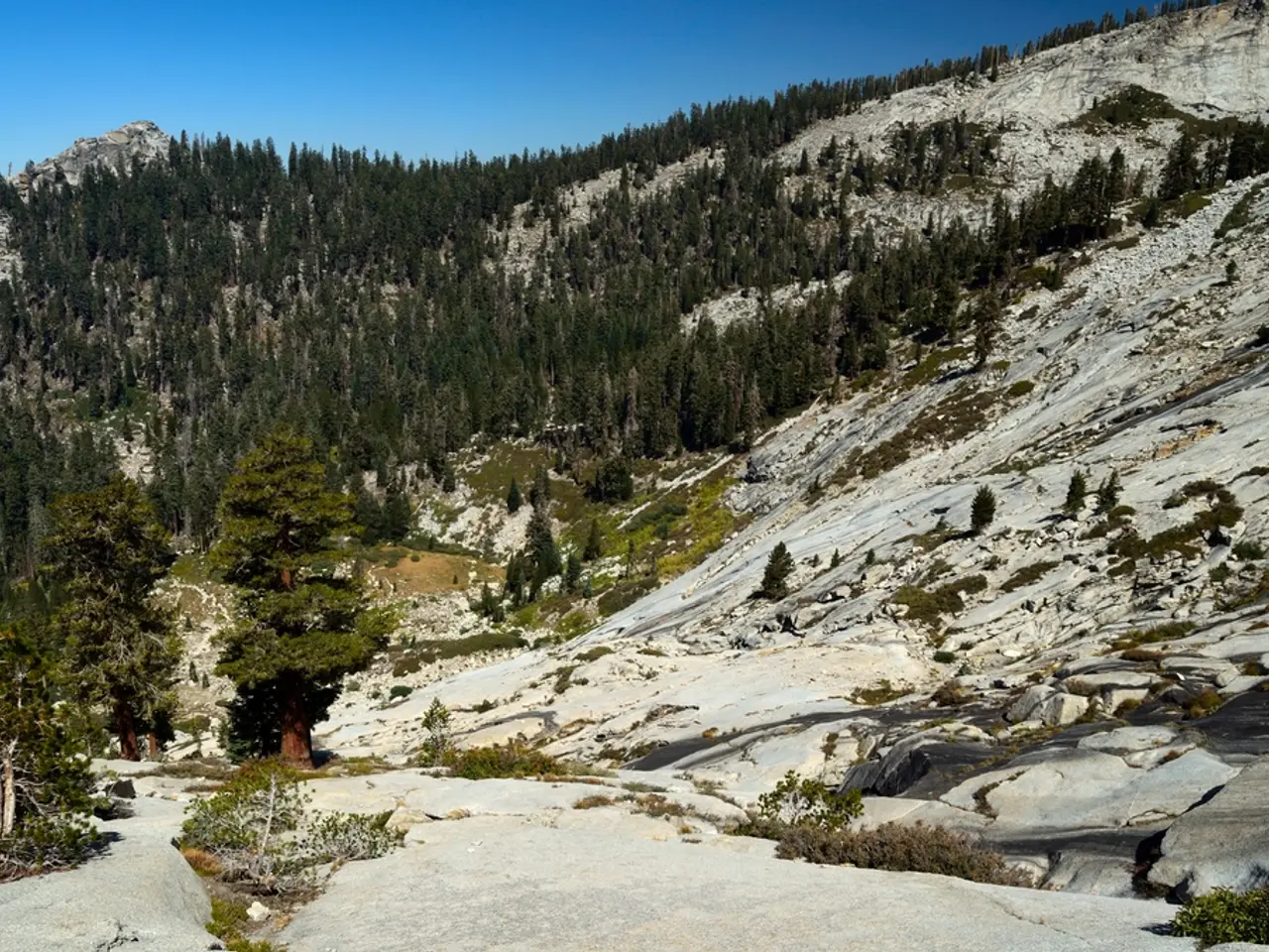 Il Medico Legale Conferma il decesso dell'esperto cacciatore a causa di una Caduta