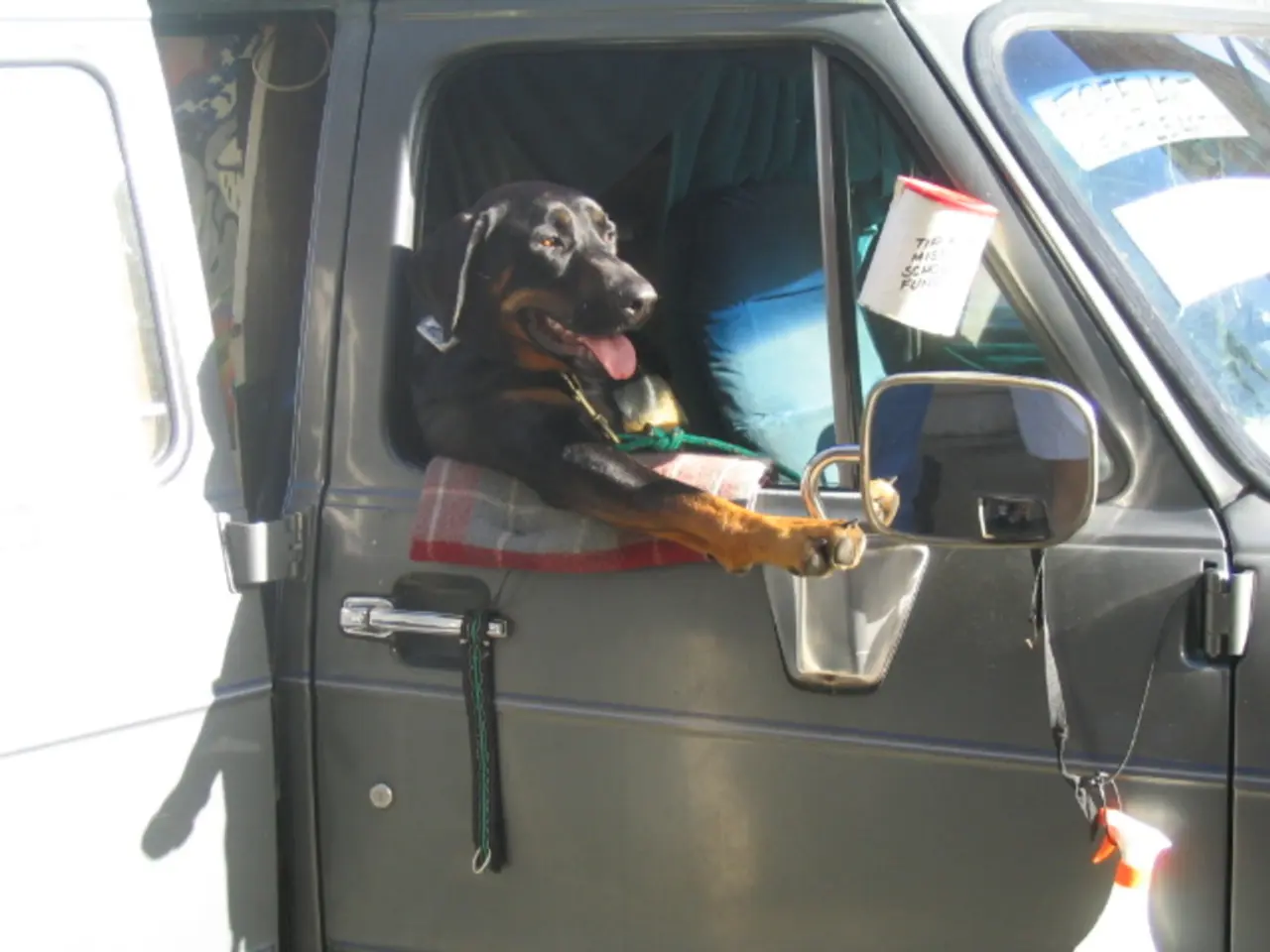 Trattamento dei danni polmonari da sepsi con terapia all'ozono