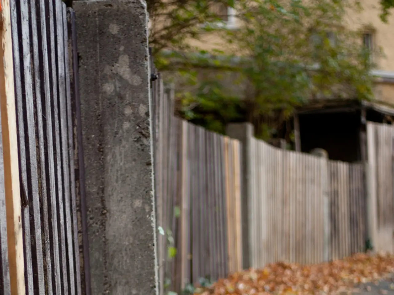 Potatura della siepe di Juniper potrebbe superare i limiti appropriati