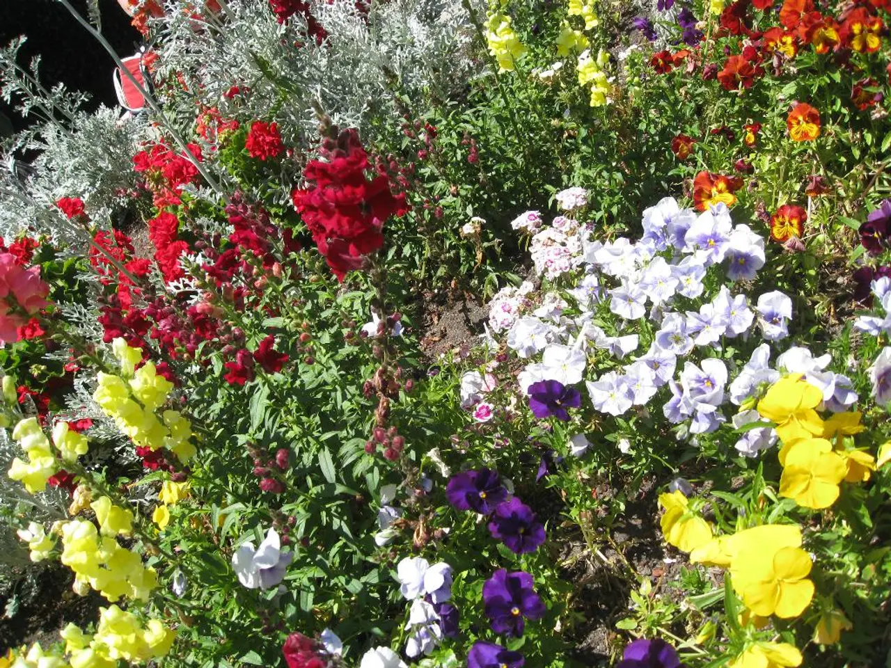 All'inizio Nigel Slater pensava di essere indifferente verso i fiori, ma ora si vanta di un...