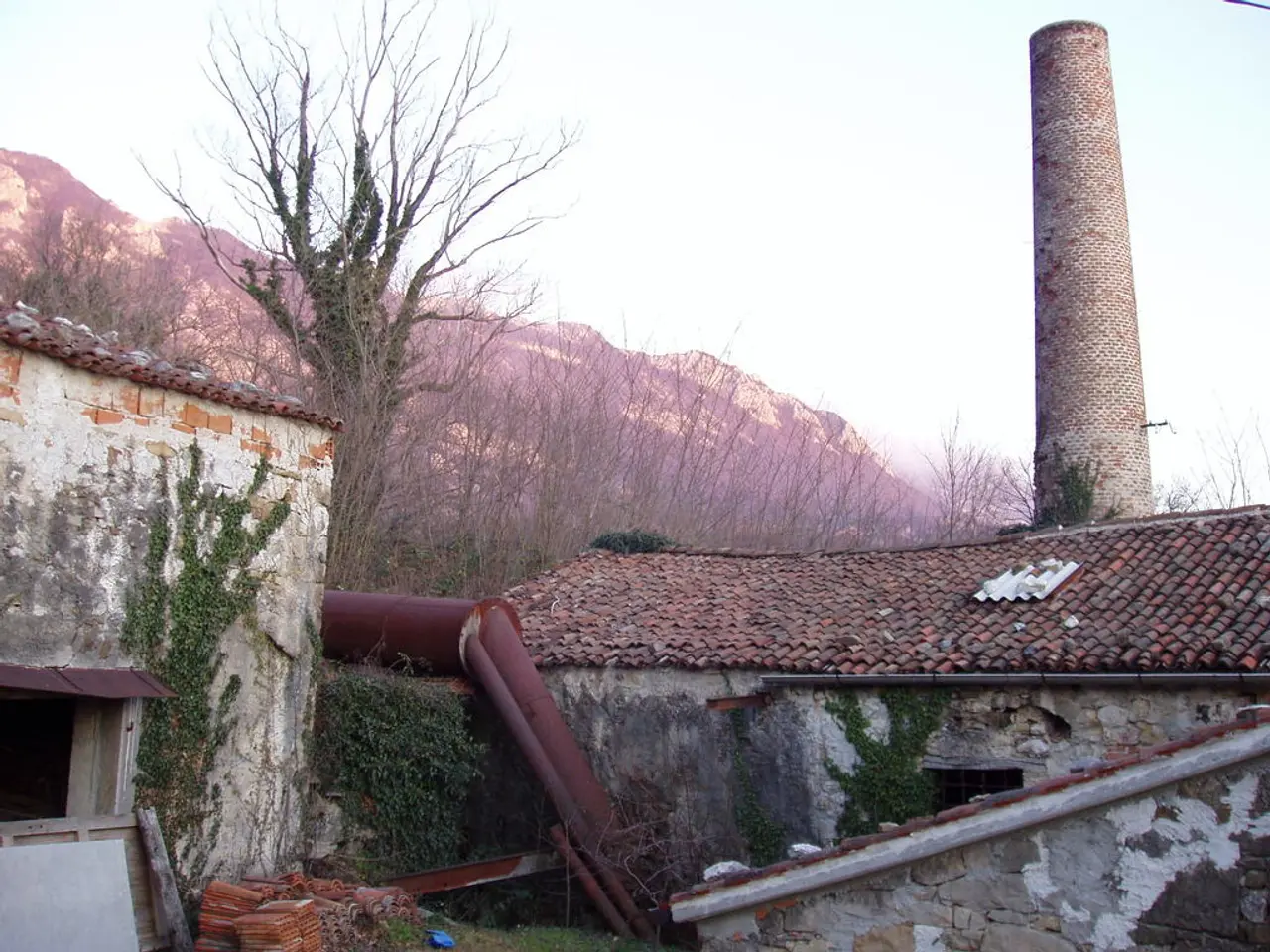 Il paesaggista cileno Teresa Moller trae ispirazione dall'ambiente naturale