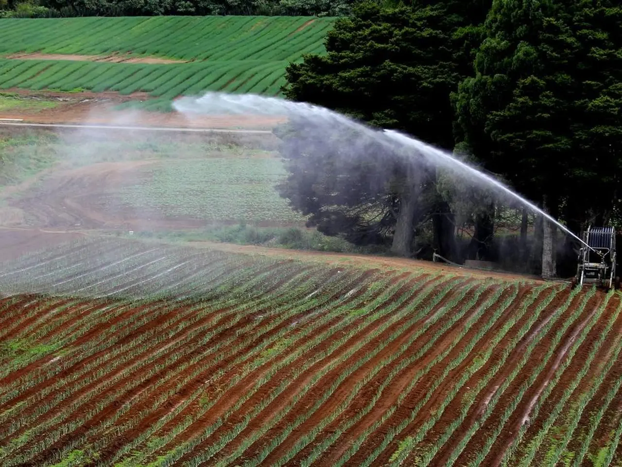 Rimborso per gli Elementi di Produzione: Cos'è?