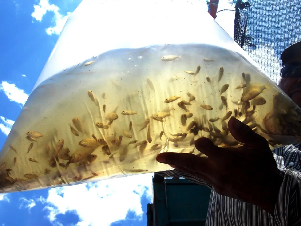 Recensione Copertura Protettiva del Telescopio Impermeabile: AttrezzaturaEssenziale per Astronomi