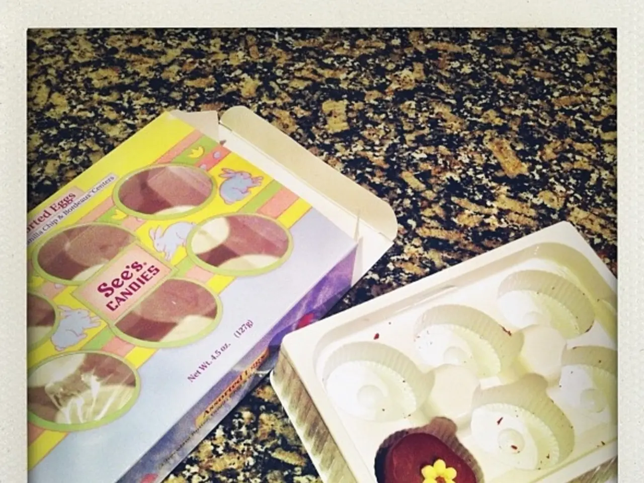 Animali Storici come animali domestici: zebre, aragoste, leoni e l'elefante baby di Reagan - i...