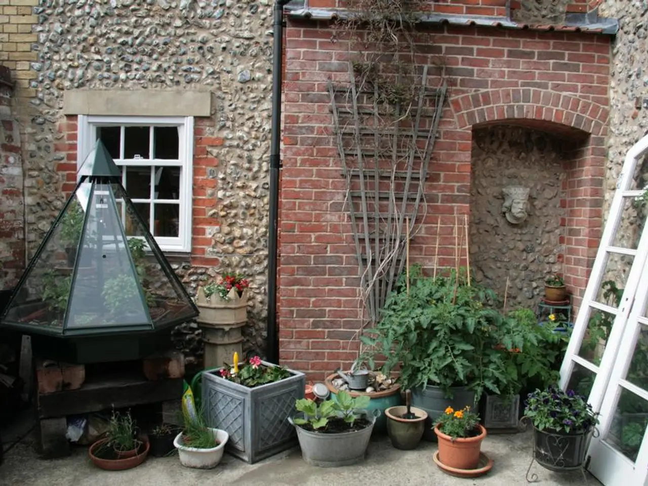  Coltivare Gerani Vivaci in Vasos per Fioriture Abbondanti in Spazi Limitati