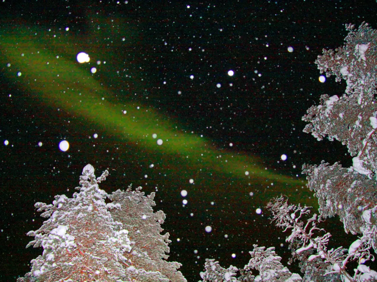 I 5 migliori varietà di colchici da piantare per boccioli di primavera incantatori