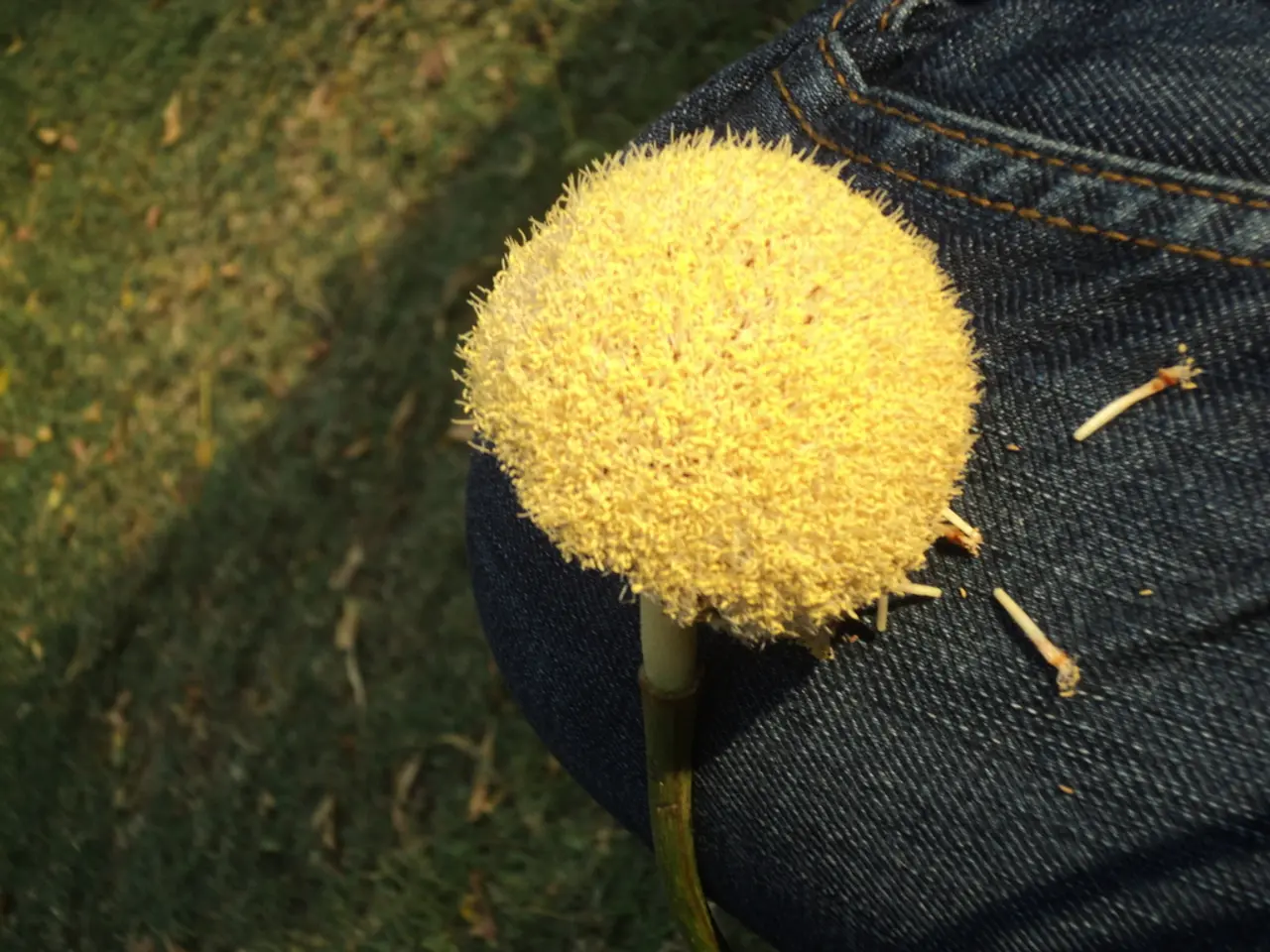 Visti tutti i colori del Google Pixel 10, questi sono i miei preferiti