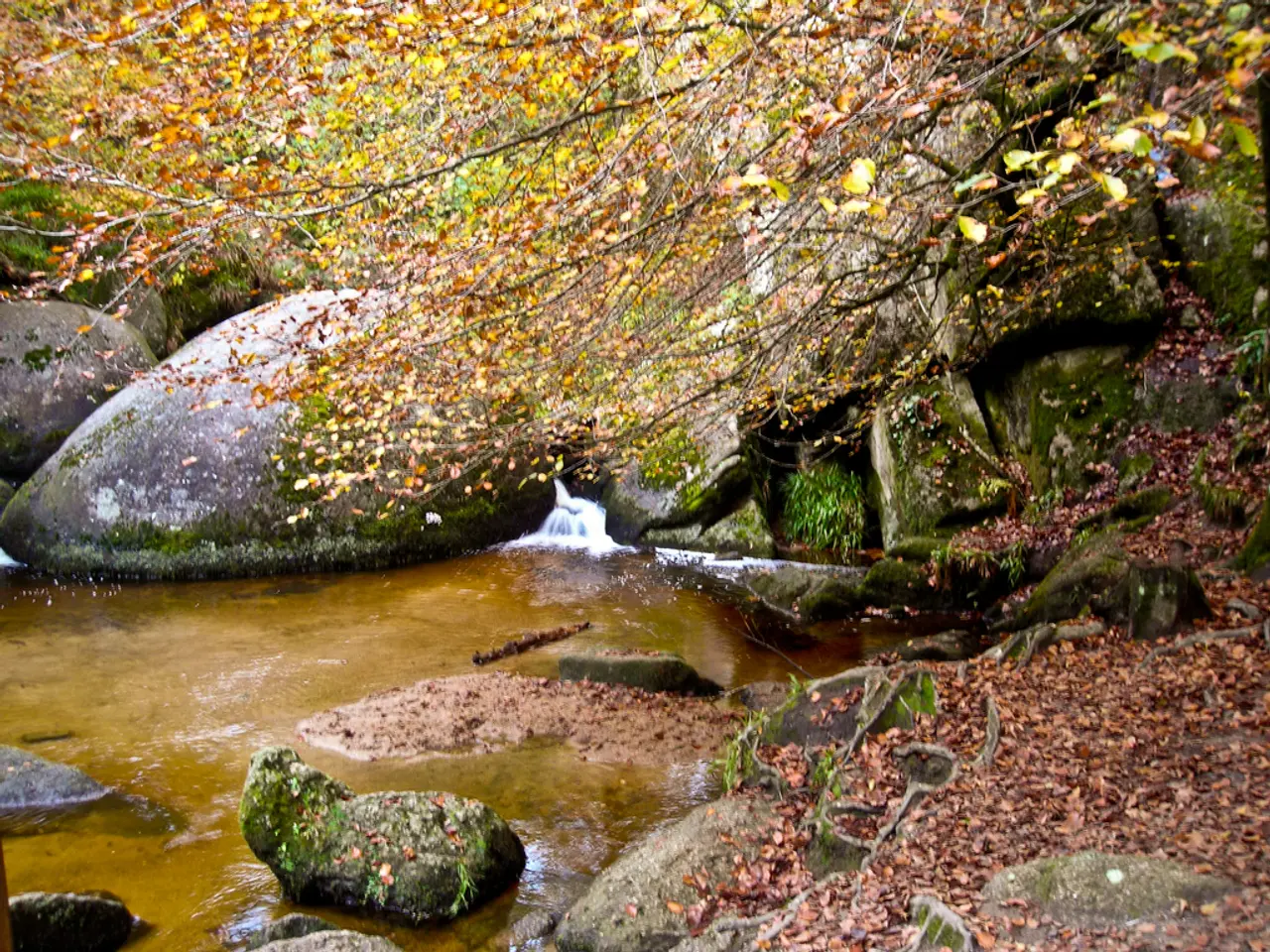 Canale Stonewater £2m per la modernizzazione delle strutture residenziali per anziani