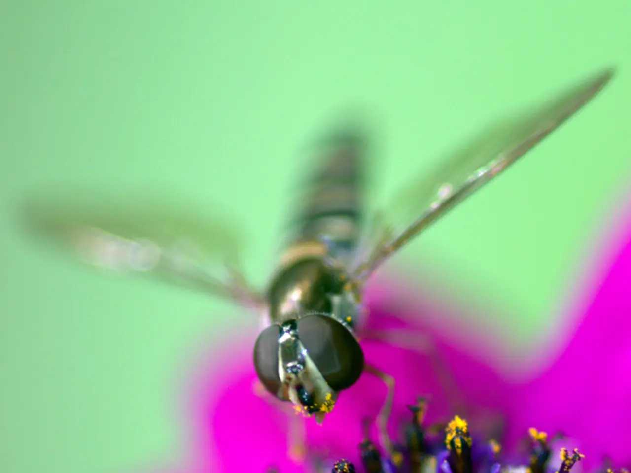 Sintomi associati alle allergie, le loro varianti e situazioni in cui è raccomandato l'intervento...