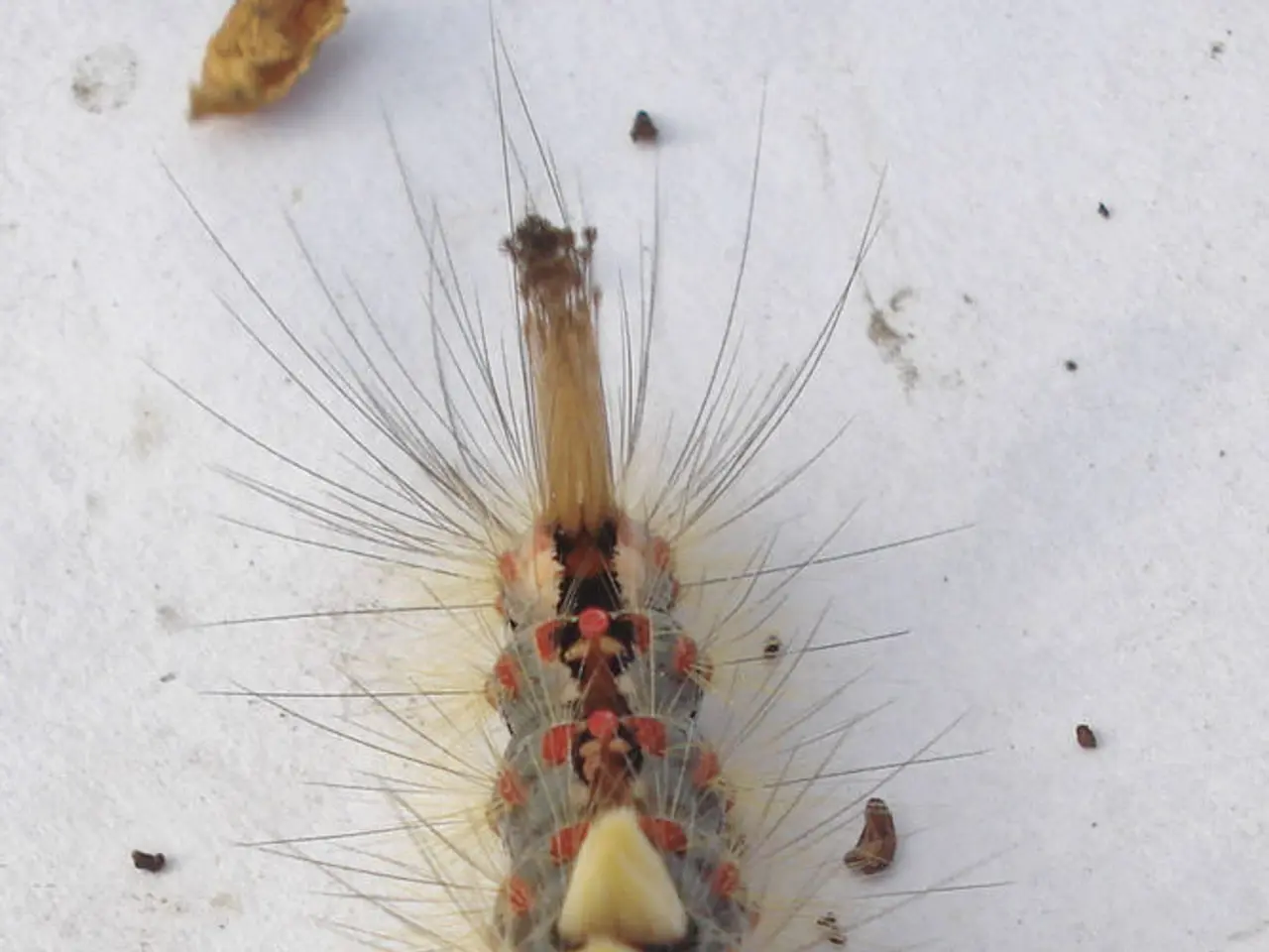 Purificatore dell'aria efficace per alleviare le allergie da acari della polvere