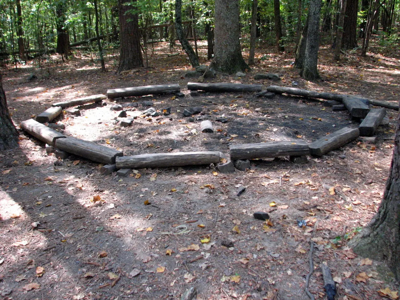 Dati forestali: informazioni complete