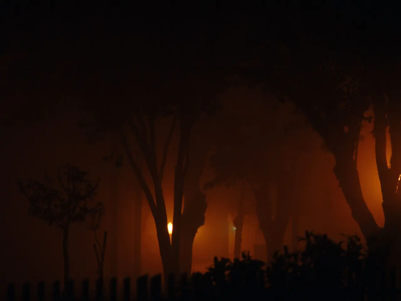 Sensori di Luce Bonsai: Regolazione dell'intensitÃ  della Luce per le Condizioni di Crescita Ideali