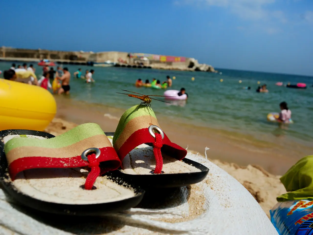 Aggiornamenti sul Progetto Shark Tank da Kinfield: Rilievi Recenti e Novità