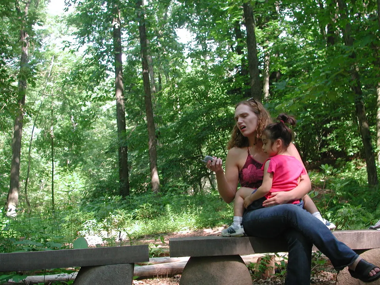 Dangote incaricato di scortare la sorella di Phyna in India per le cure mediche appropriate -...