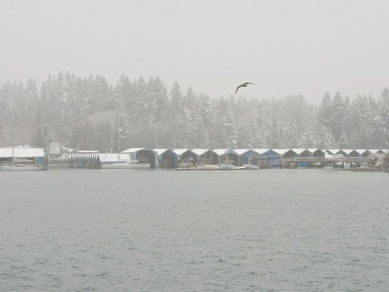 Informazioni sulla copertura Medicare per i viaggiatori d'inverno: Dettagli essenziali da...