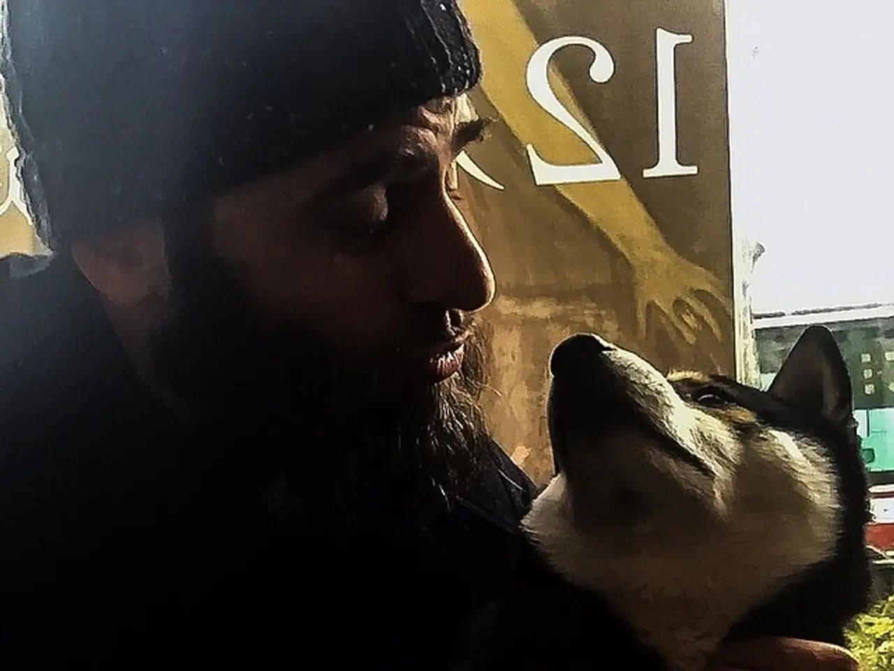 Classifiche aggiornate dei collari per il controllo delle pulci più efficaci per i cani nel 2025