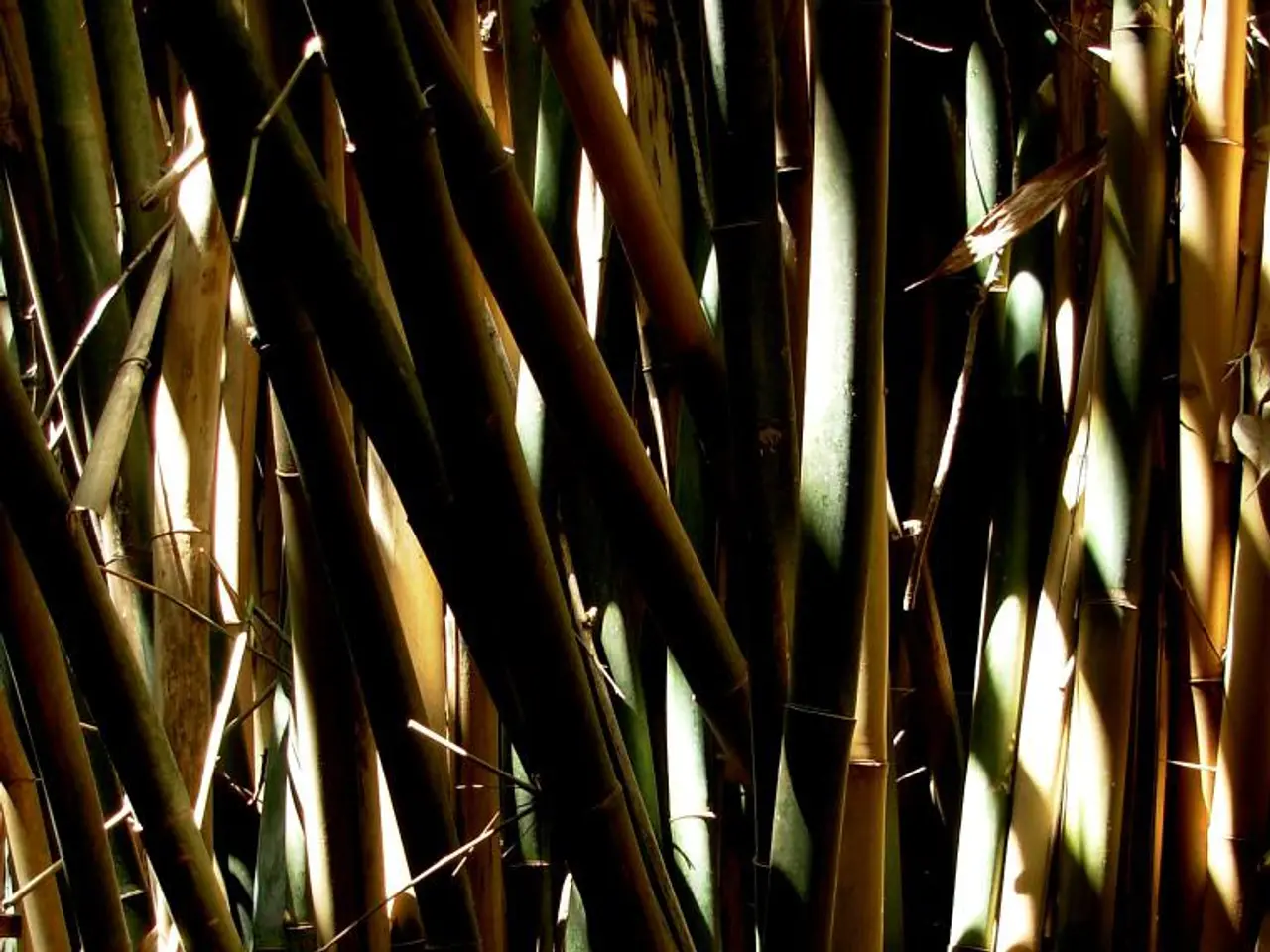 Esplorando una pleiade di ingegnosi oggetti utilizzando il bamboo, scopri le grazie di questi 29...