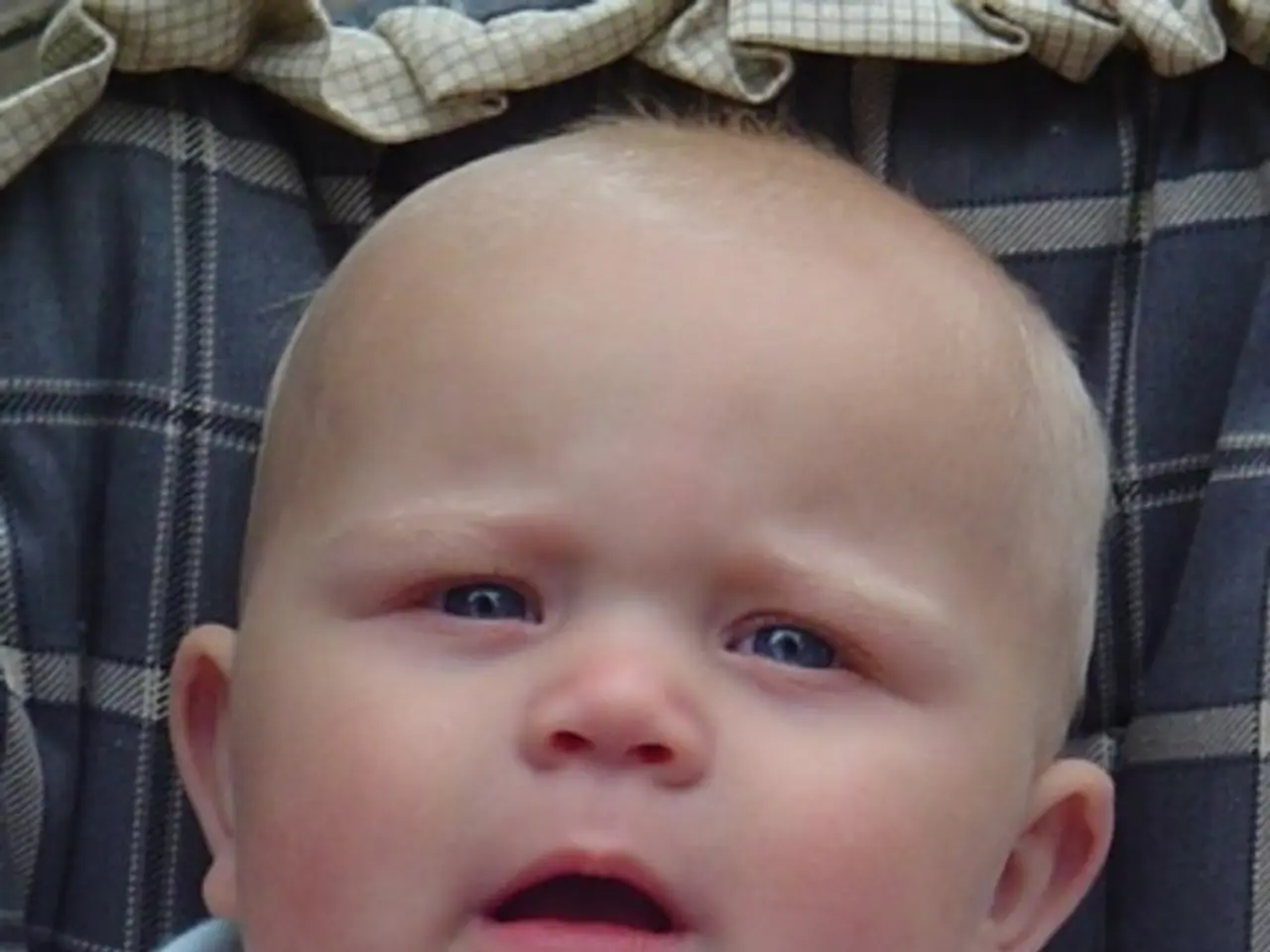 Servizio di Assistenza Infantile al Faro: Specializzato in Ambiente Lingua Inglese per Bambini