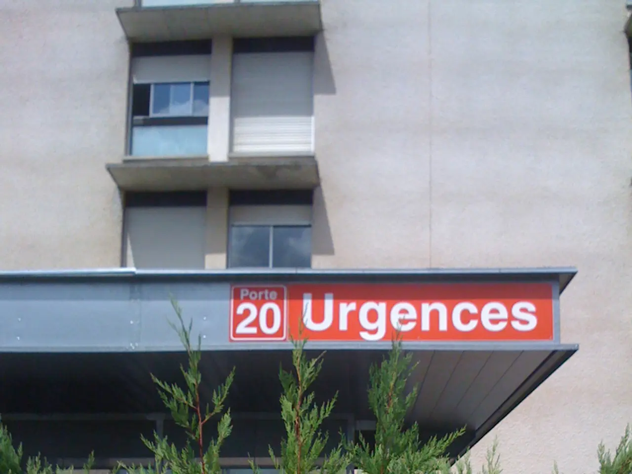 Residenza di un Appassionato di Piante a Copenaghen: Progetto di Interni Bohémien e Disorganizzato