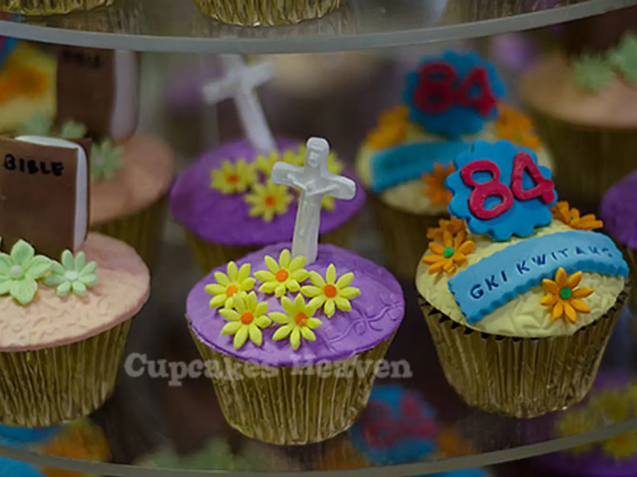 Prospettive della Squadra di Baseball di Santa Croce