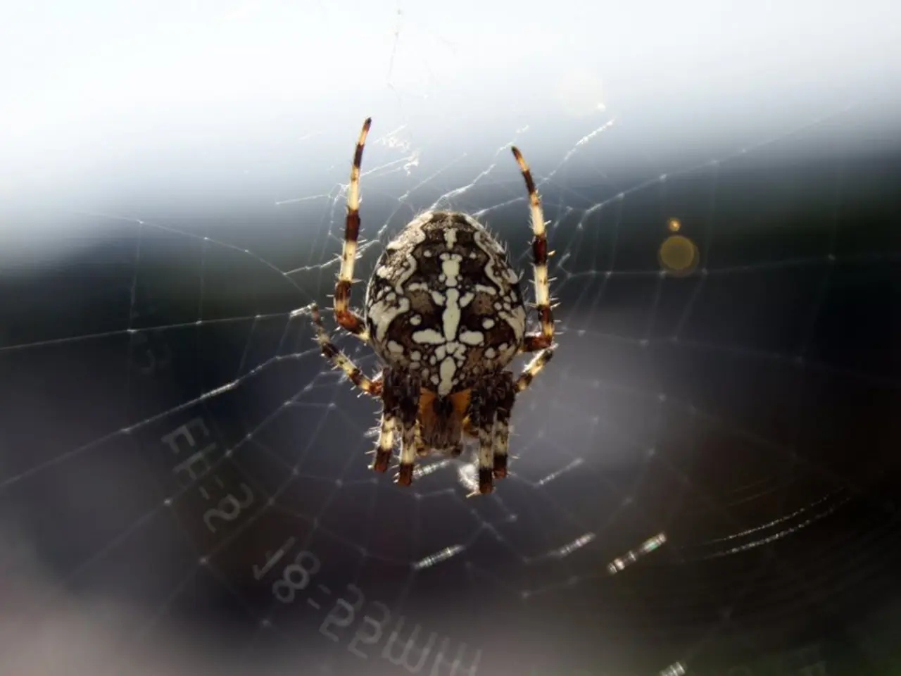 Iccona di Camp Eterna: Madame Web Rielaborata