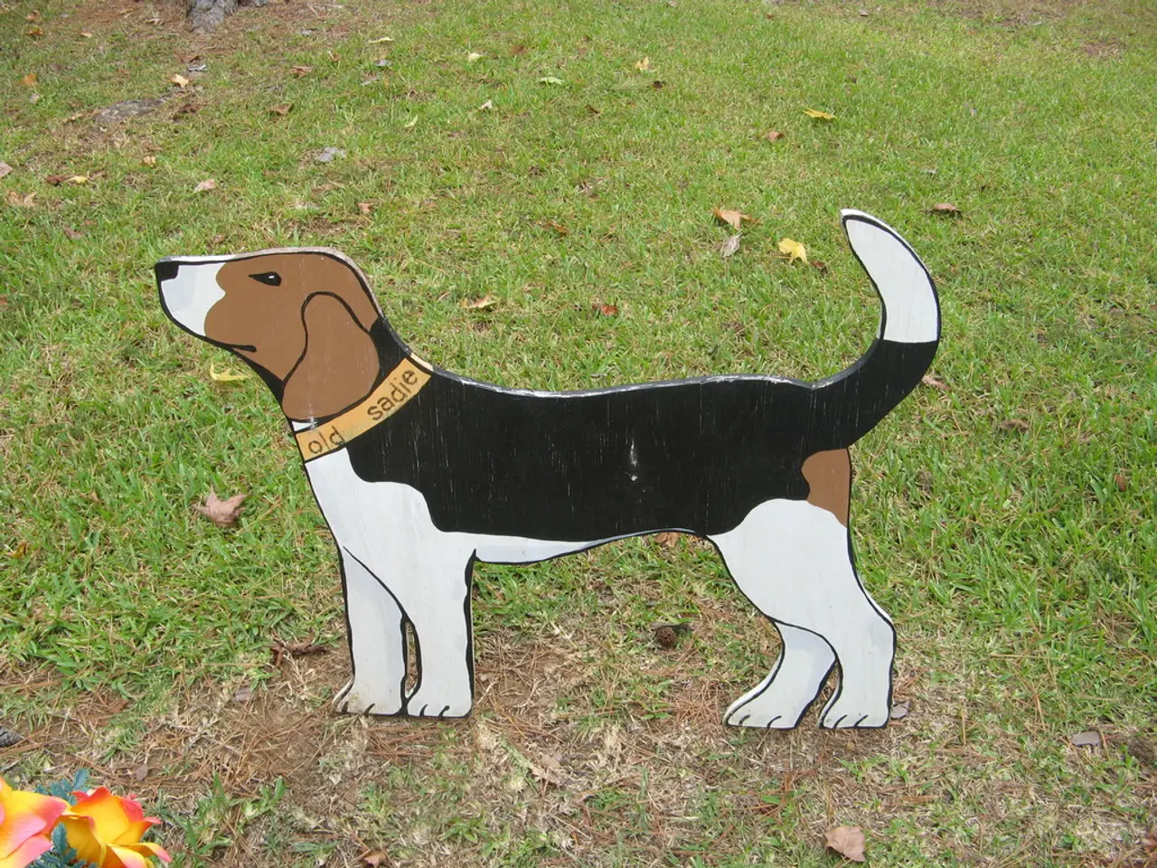 Guadagna con un reddito giorniero di $8.700 con il mining di Dogecoin (DOGE)