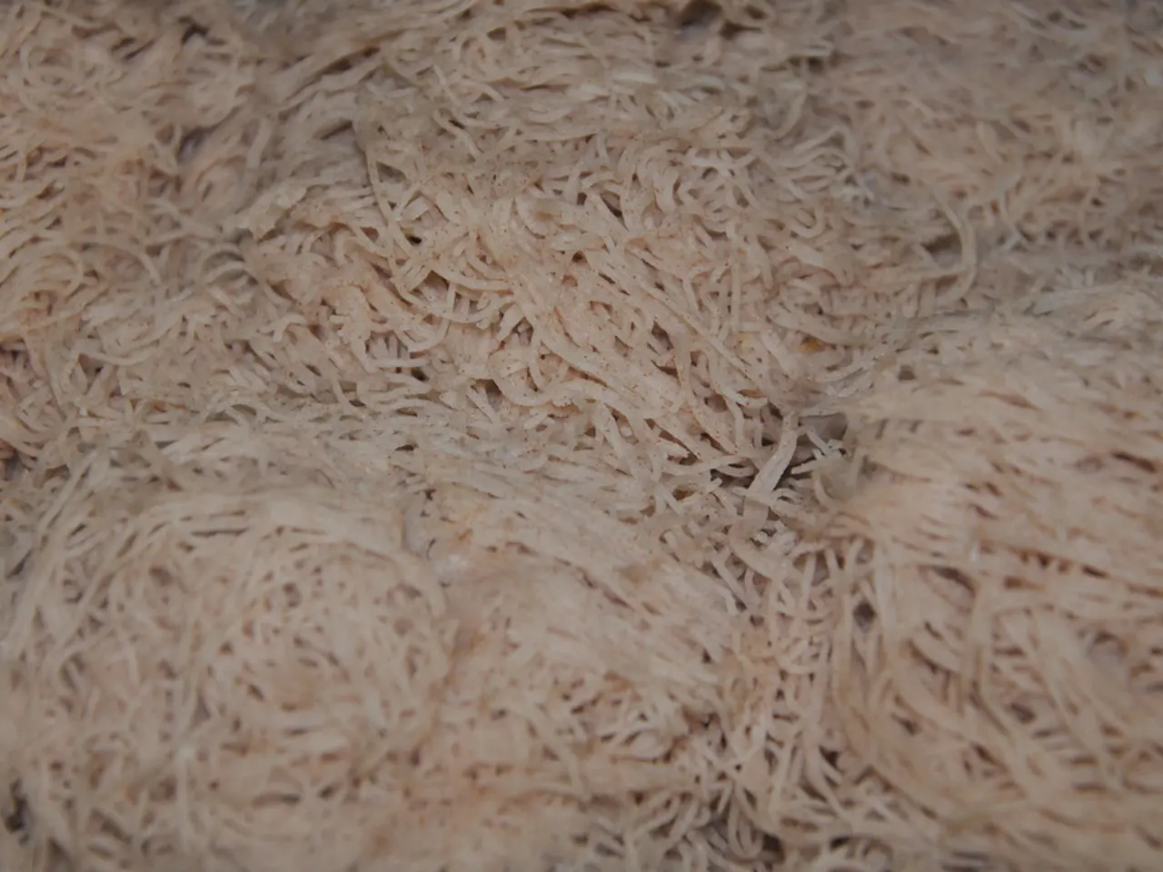 Huntrix, il marchio di ramen, è stato lanciato sul mercato