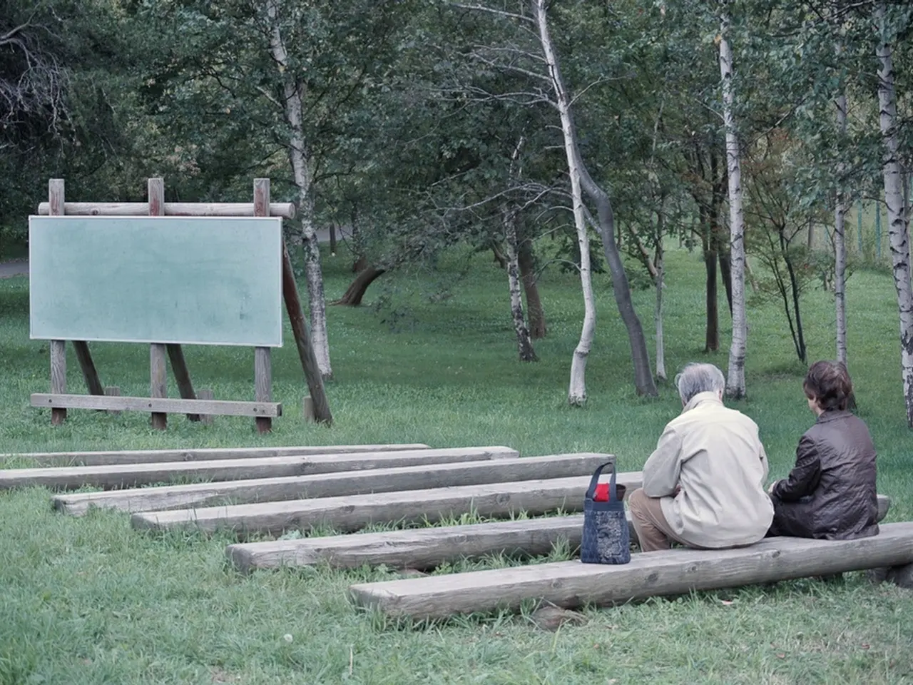 13 metodi innovativi per progettare un camino a legna perboth l'appeal estetico e il calore...