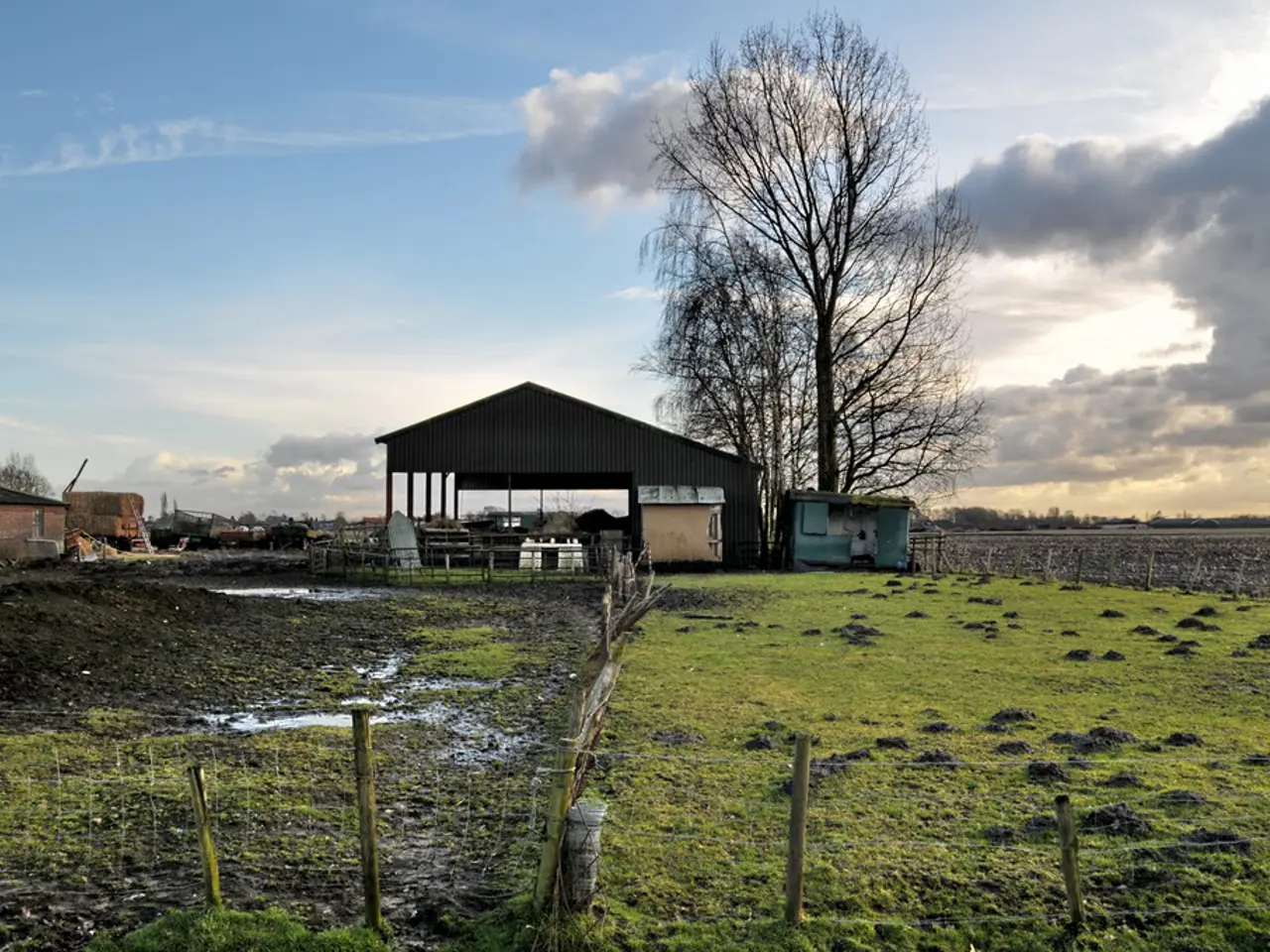 Progetti Edilizi e Perdita di Biodiversità: Comprendere il R armoured da Biodiversità Netta e il...