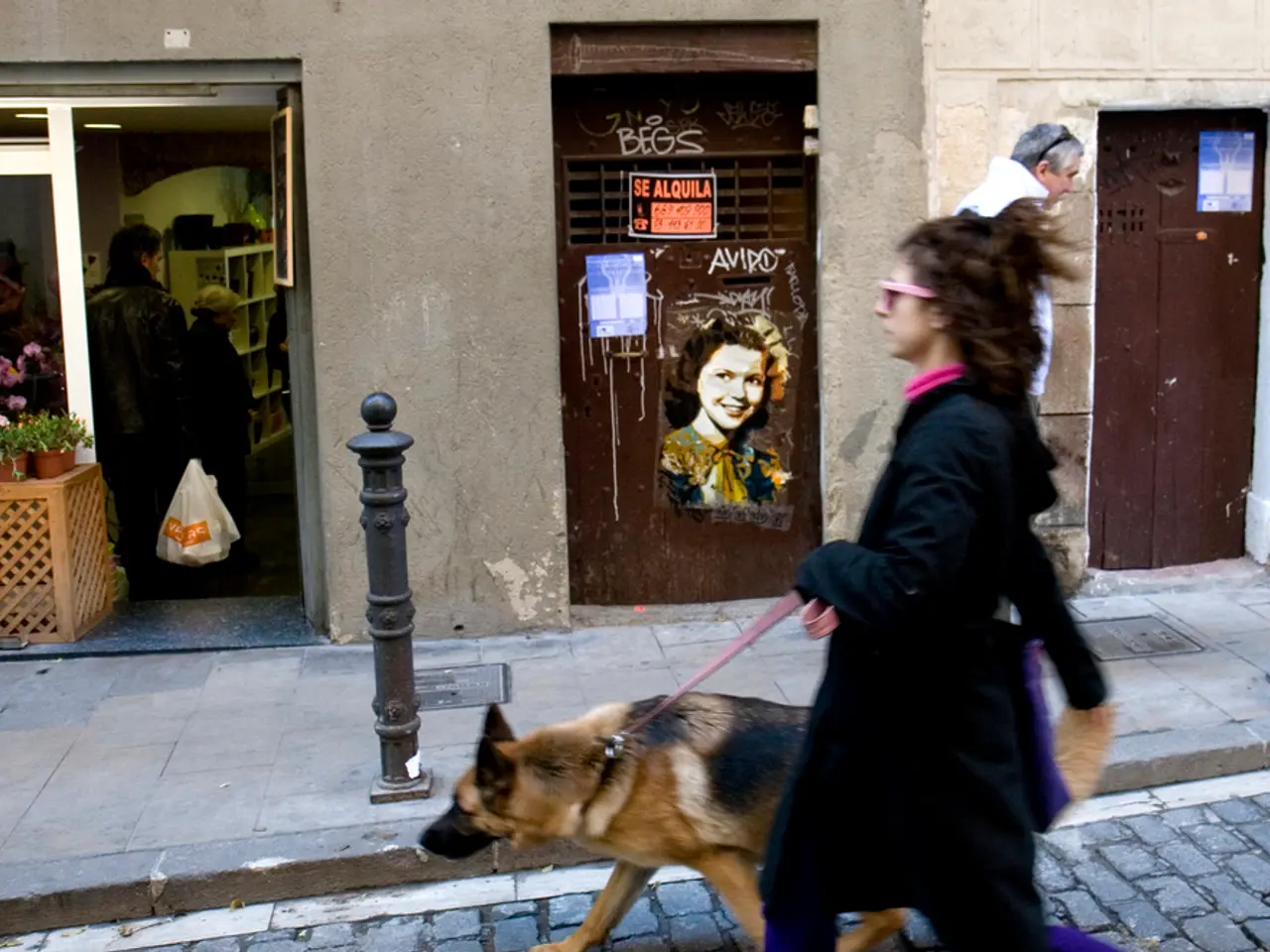 Viaggiare con i tuoi animali domestici reso conveniente: i prodotti essenziali di Amazon per un...