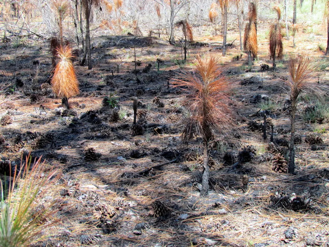 Eolico e pannelli solari installati su terreno agricolo: QUESTO È IL VALORE CORRENTE DELLA TUA...