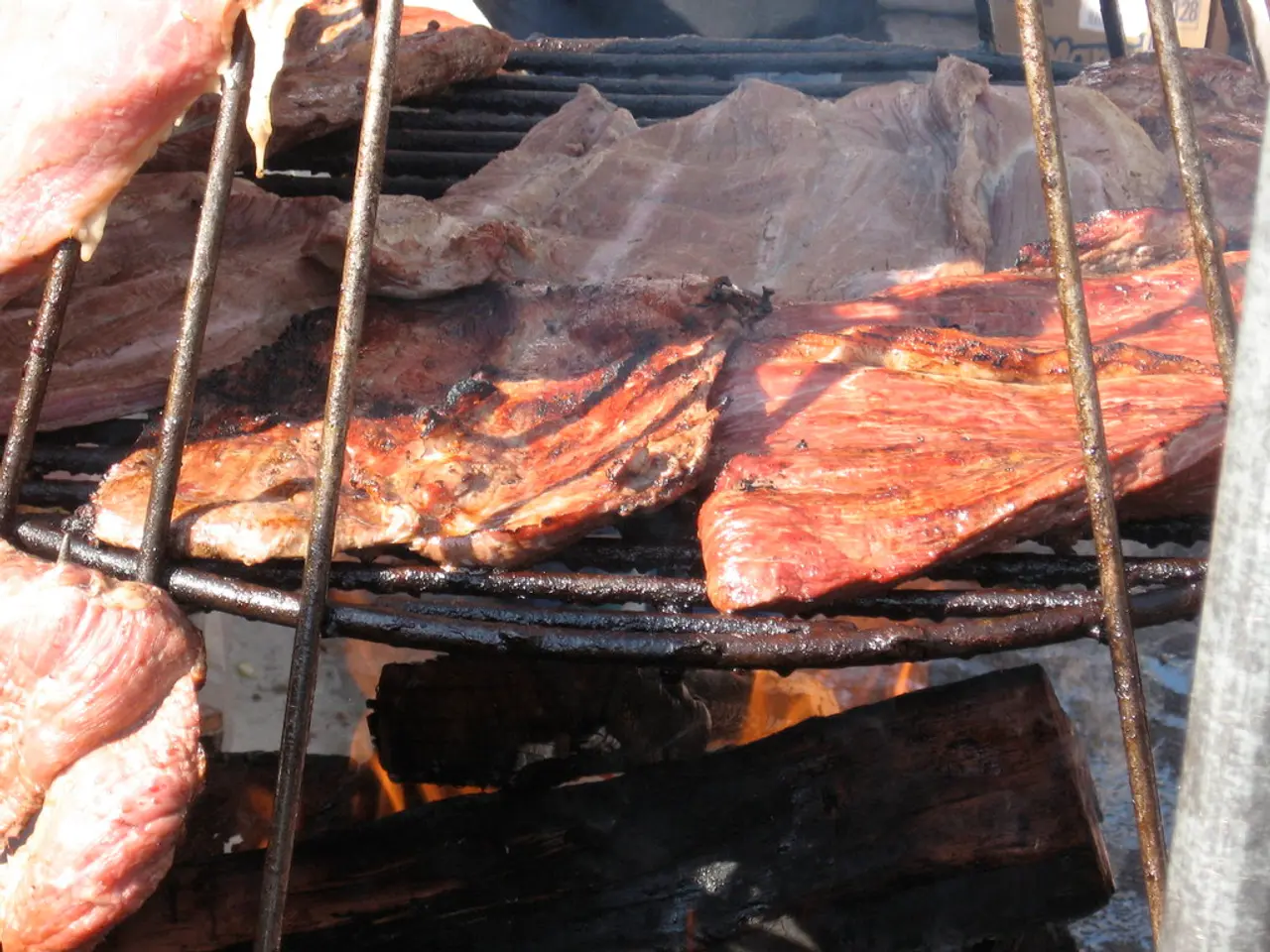 Continua l'esplorazione di varie fonti di combustibile per i forni: fonti di combustibile diverse