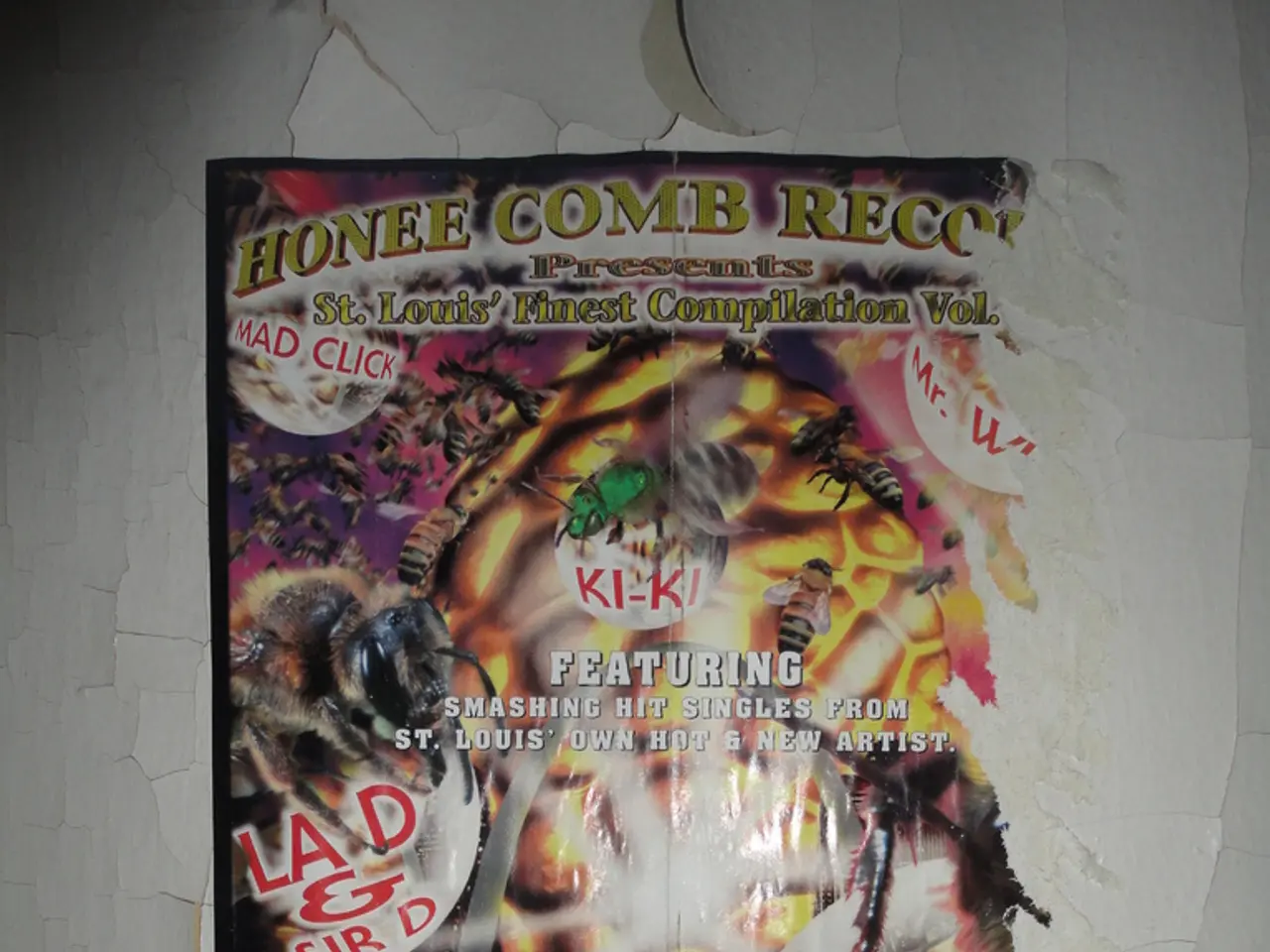 Trascurare un passo cruciale nella riparazione delle crepe del muro potrebbe rendere i tuoi sforzi...