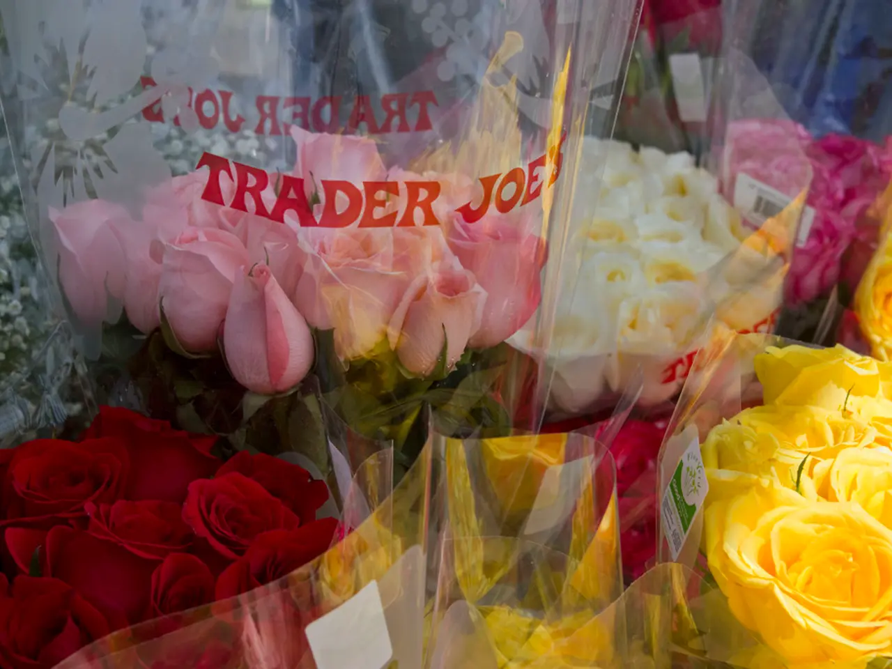 Pizza deliziosa rossa ridefinisce il pasto classico e intimo preferito