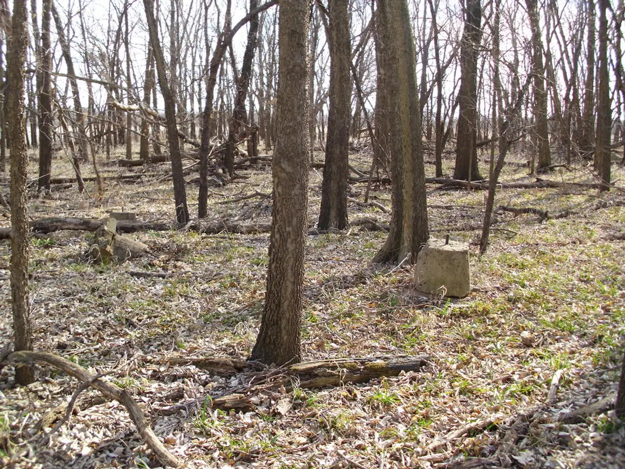 Rilevata la poussa illegale nella foresta non riconosciuta di Faridabad, regione Aravalli