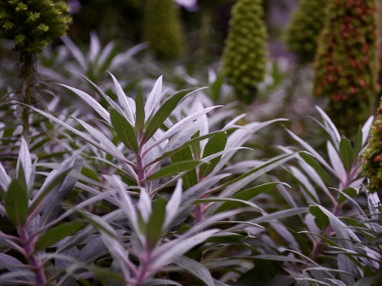 Eseguire la Potatura: Tecniche Fondamentali da Conoscere per Ogni Pollice Verde