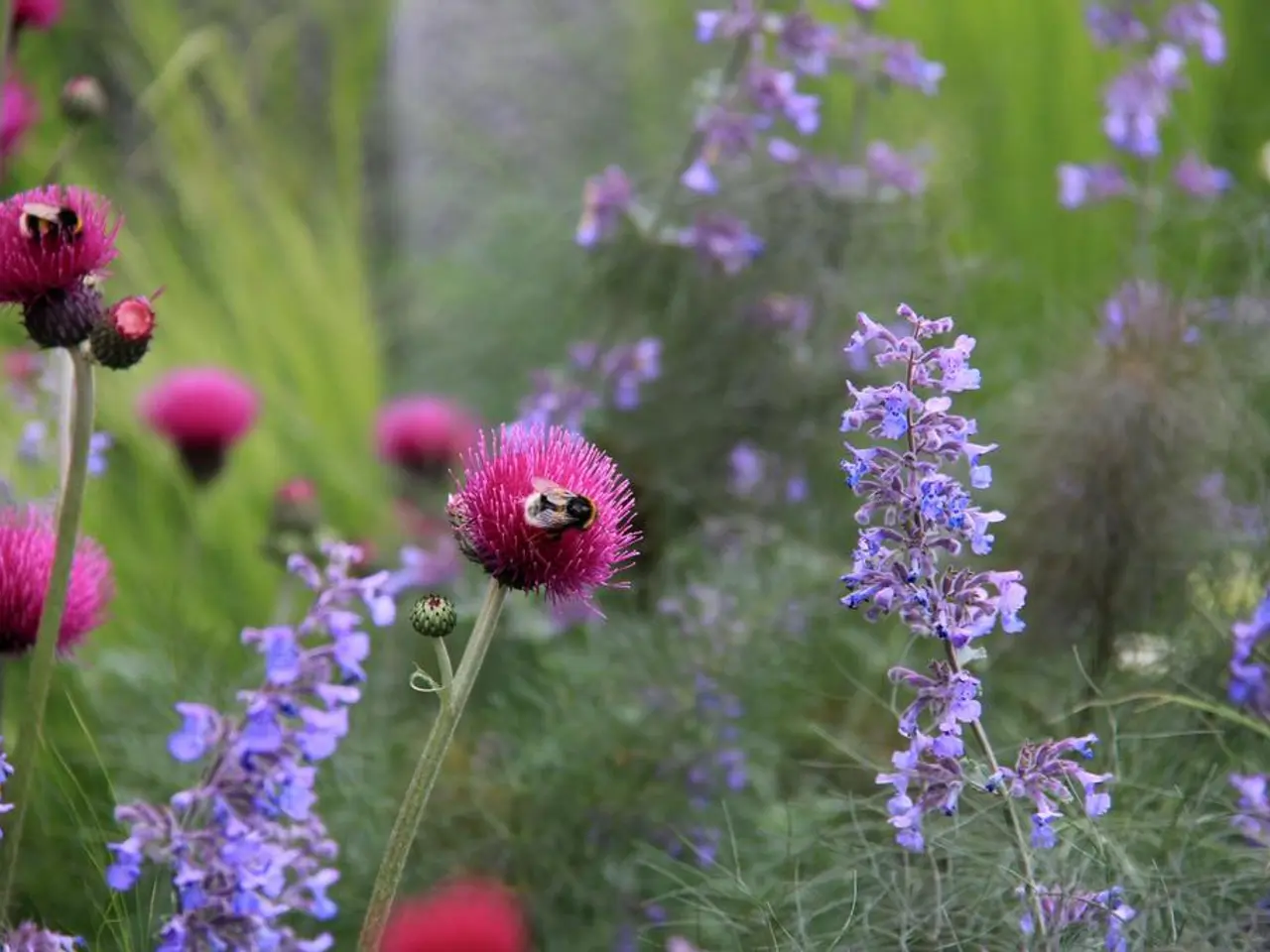 Istruzioni per la pubblicazione di foto complete su Instagram (senza ritaglio)