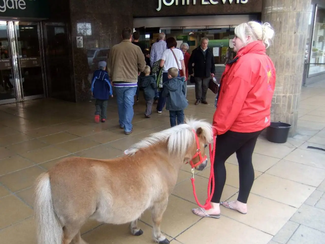Costruire una Rete Equestre Potente: Caroline Culbertson Guida l'Iniziativa, Supportata da Schleese...