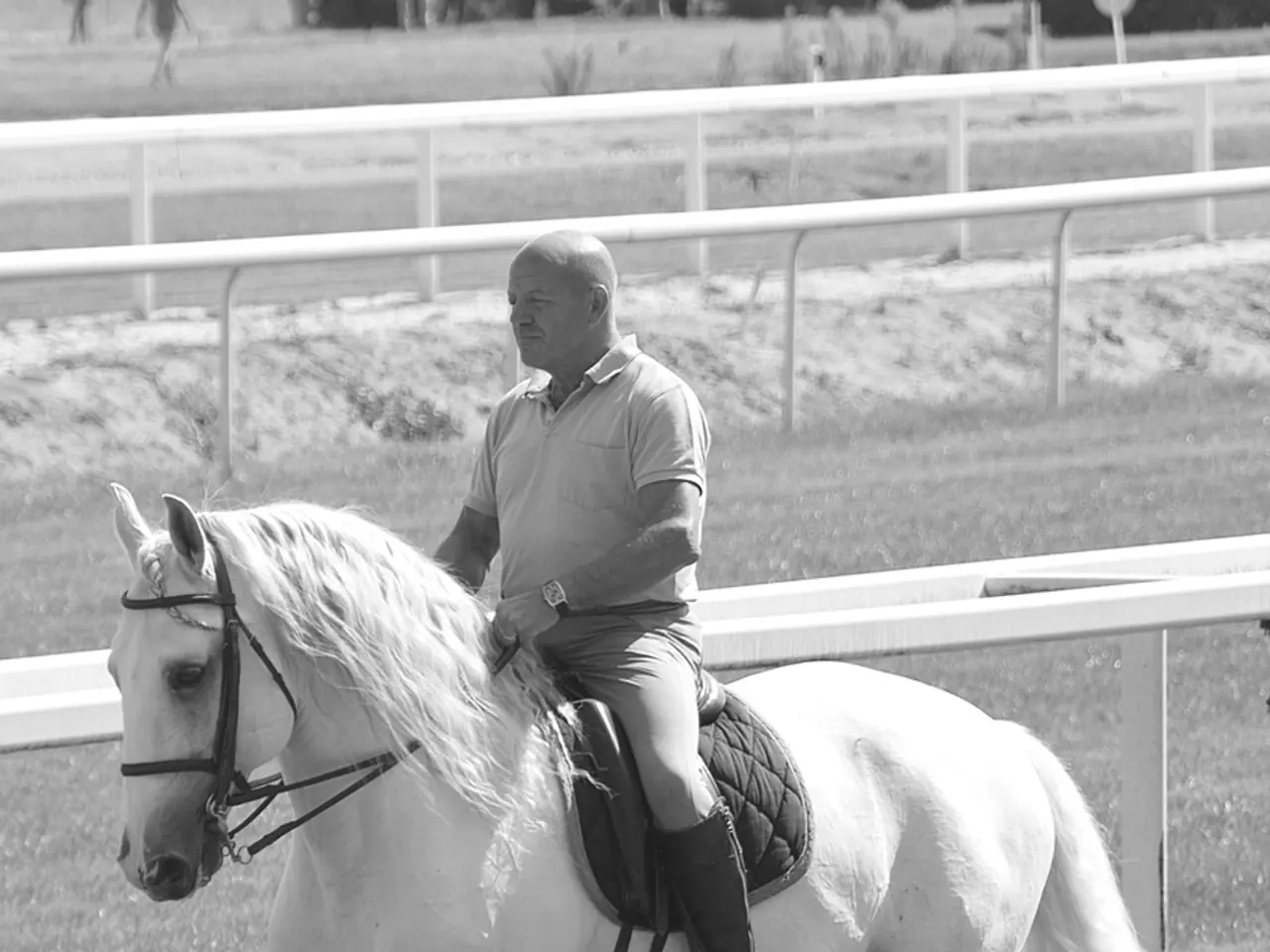 Determinare la compatibilit√†: Una guida per scoprire se tu e il tuo cavallo siete perfettamente...