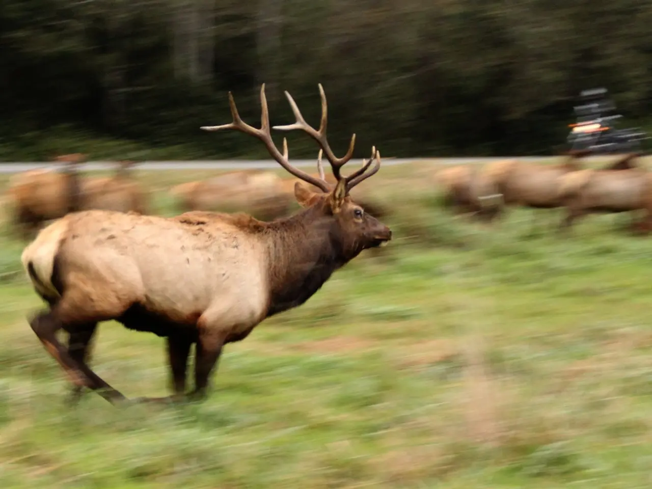 Una persona è morta in un grave incidente stradale, segnalato a nord di Red Deer.