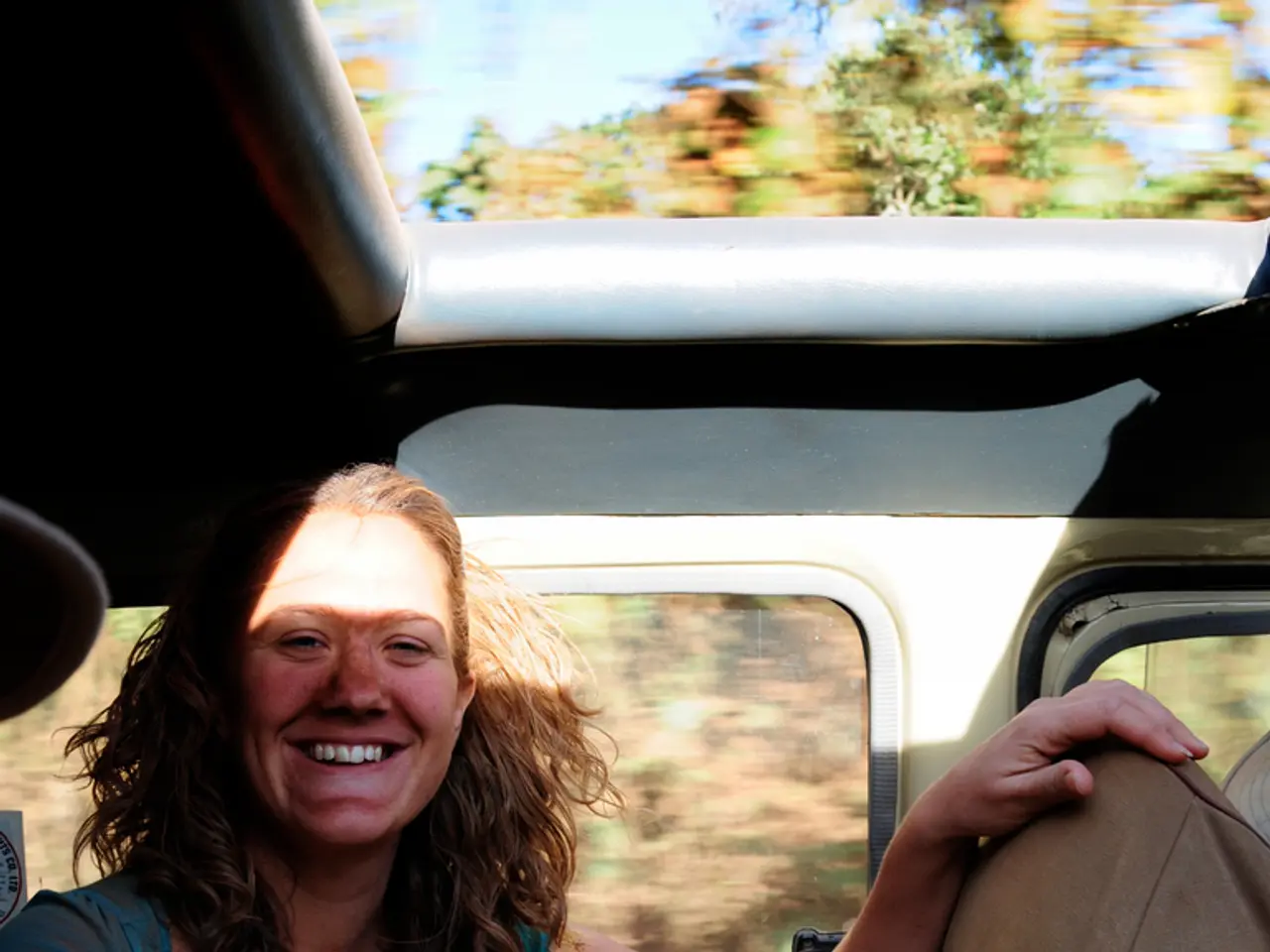 Preferenza per le Relazioni di Prestito: gli Intermediari Favoriscono le Banche Nazionali rispetto...