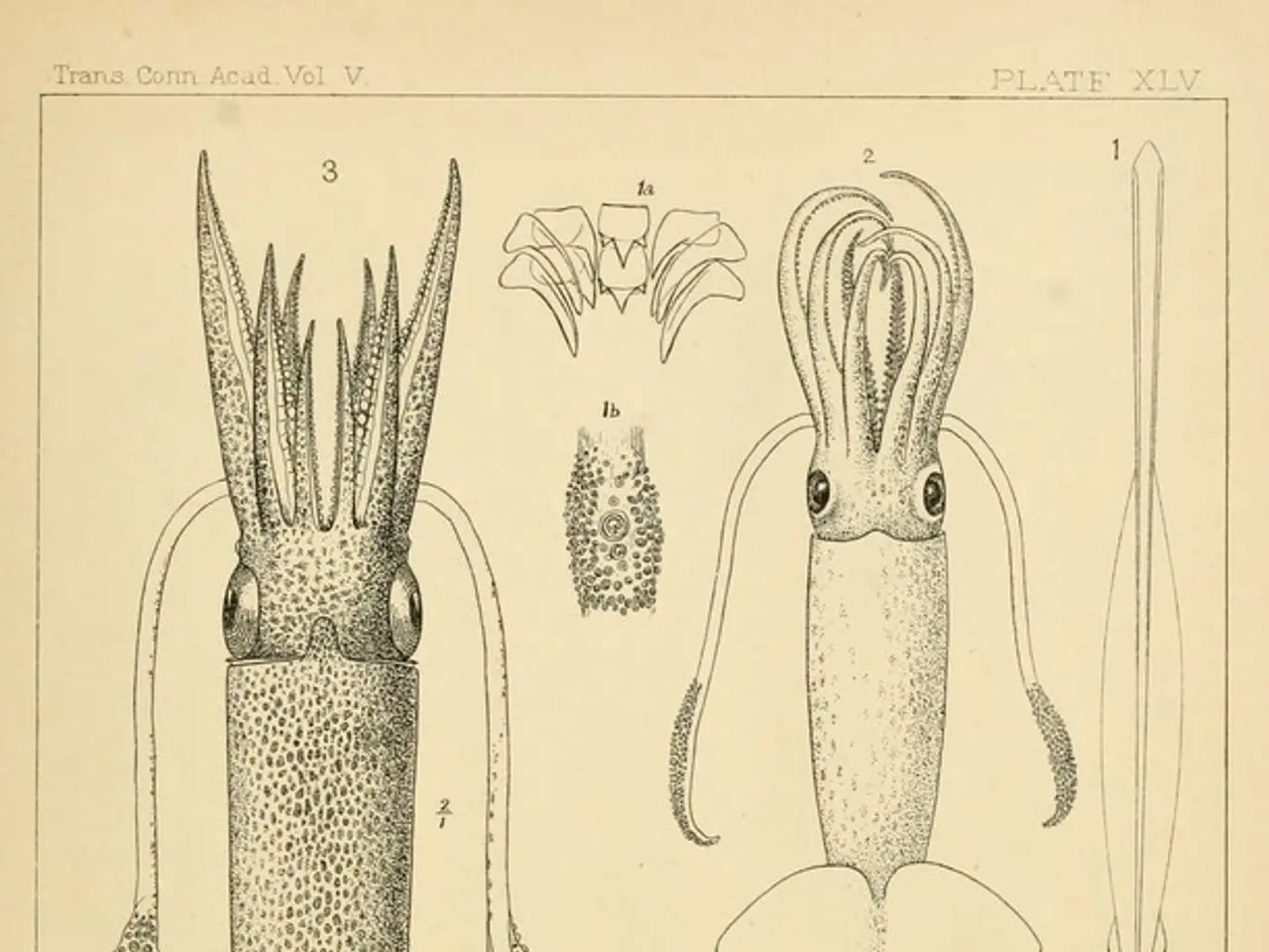 Godzilla Classificato Creatura Preistorica?
