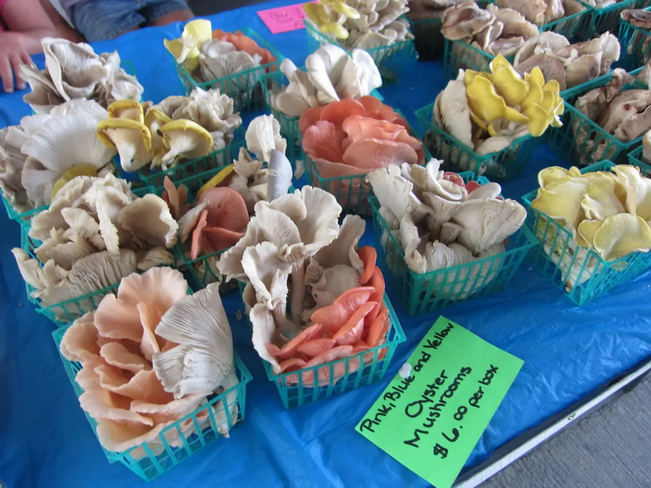 Klarna rivela le ambizioni per un secondo debutto in borsa a New York, puntando a una valutazione...