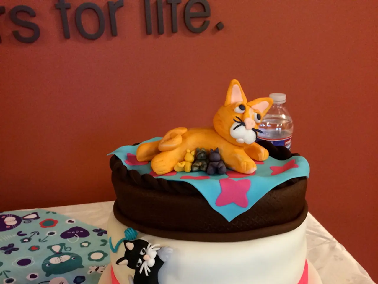 Attività e bricolage adatti ai bambini con la lettera C per bambini di diverse età