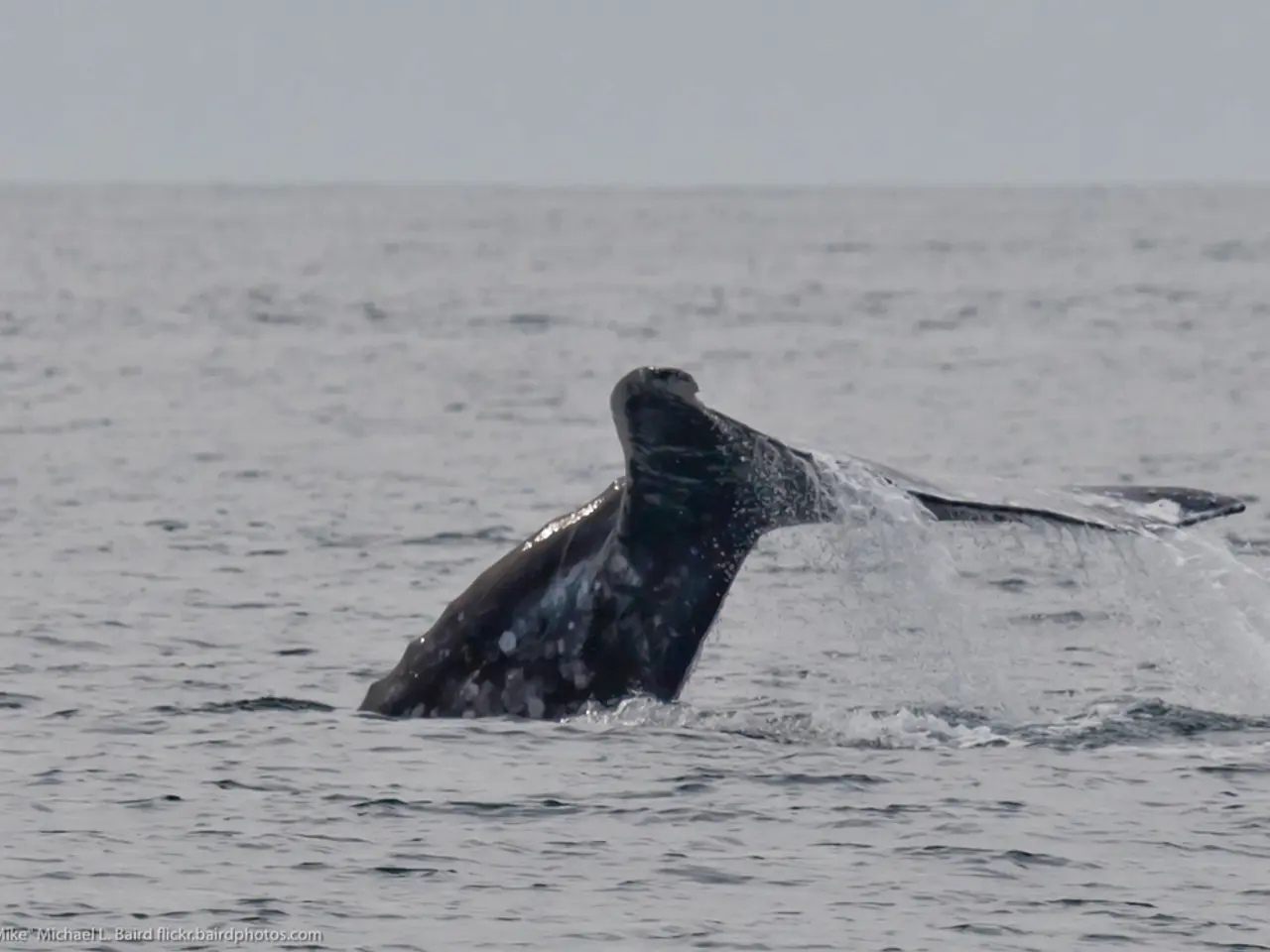 Rivelare i messaggi simbolici che tormentano il tuo sonno