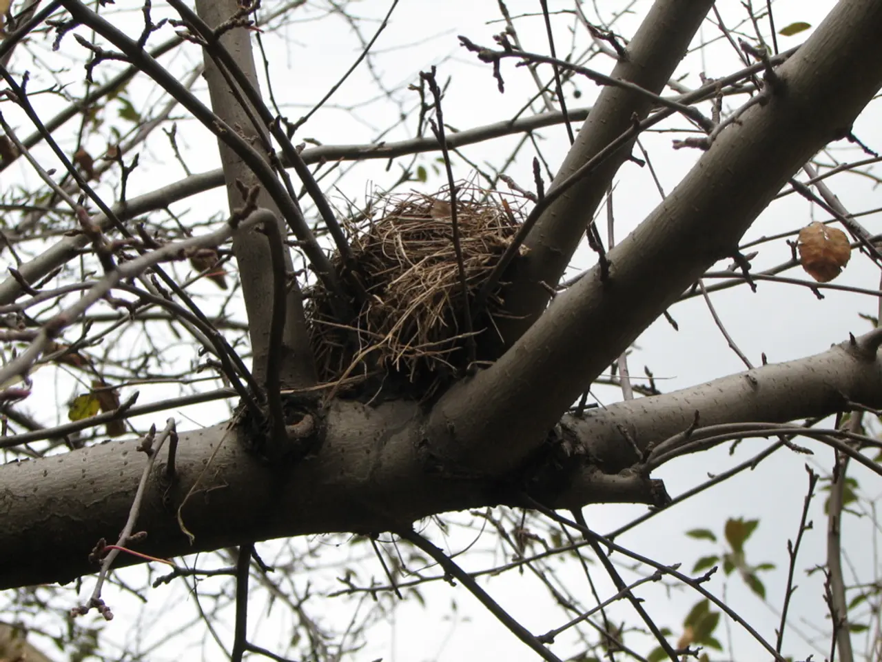 Il Chief Executive Officer di Nestlé, Laurent Freixe, è stato licenziato dopo un'indagine che ha...