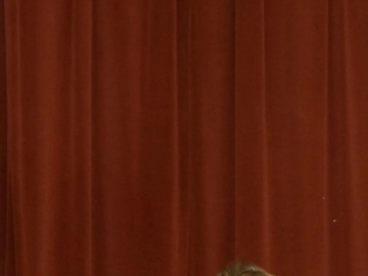 Qualità Comuni Tra I Membri Della Famiglia Reale: Principe Harry, Principe William e Kate Middleton