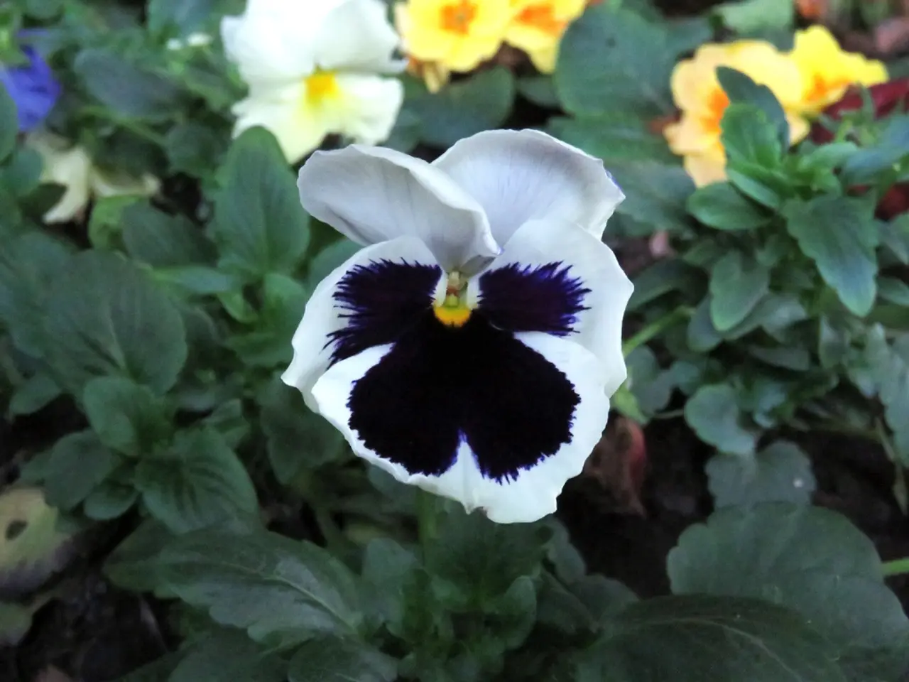 Techniche di Potatura Essenziali Che Ogni Appassionato di Verde Deve Imparare